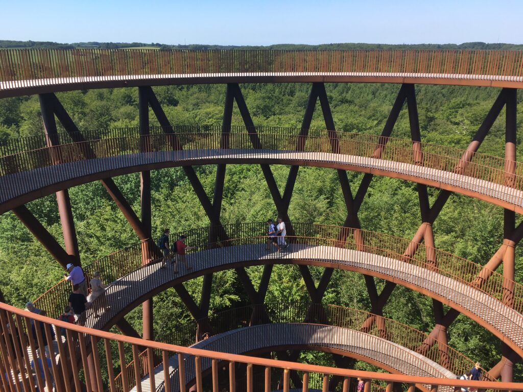 Over trætoppene i Skovtårnet