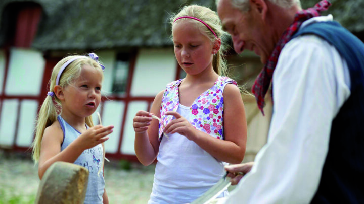 Den Fynske Landsby