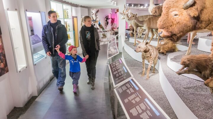 Naturhistorisk Museum Aarhus