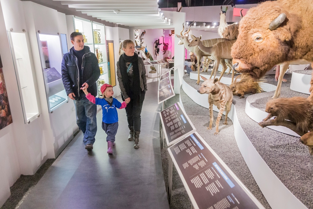 Naturhistorisk museum Aarhus (Foto: Naturhistorisk museum Aarhus)