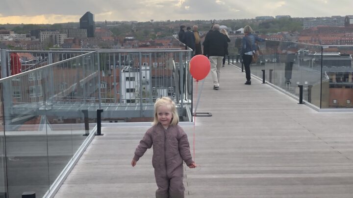 Salling Rooftop