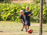 Bæredygtig familieferie i Vilgurd Camp (Foto: Vilgurd Camp)