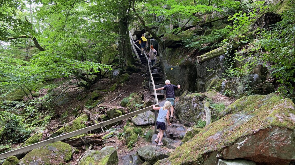 Geocaching – Verdens største skattejagt