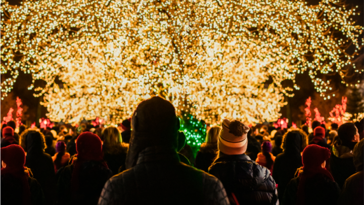 Jul i Odense ZOO