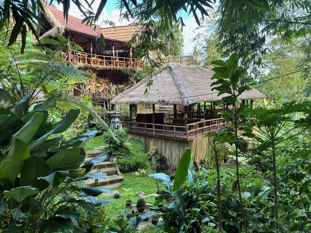 Bali er en ø fyldt med oplevelser. Her er det en restaurant med udsigt til skoven. (Foto: ferieogborn.dk)