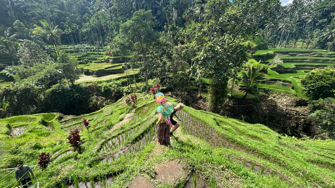 Bali med Børn (Guide)