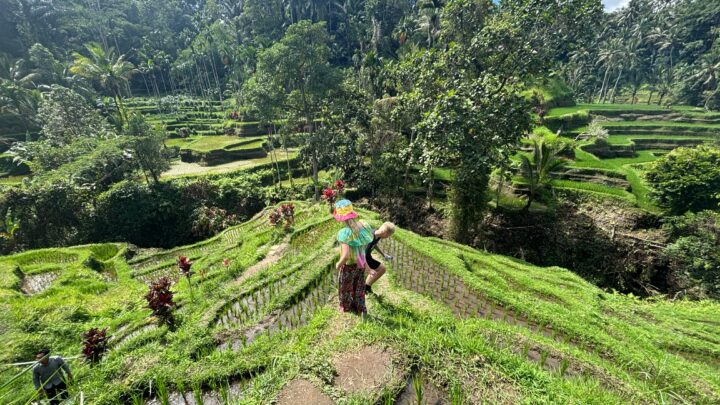 Bali med Børn (Guide)