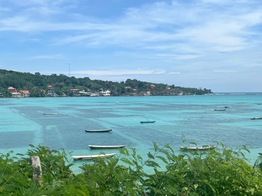 Udsigt over tangmarker (Foto: Ferieogborn.dk)