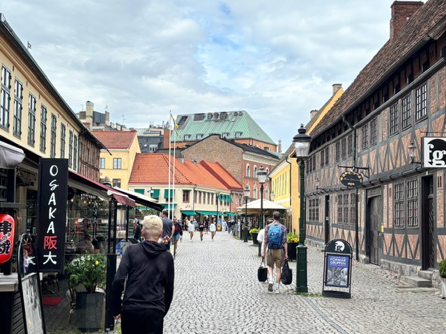Shopping i Malmø (Foto: Ferieogborn.dk)